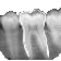 dental