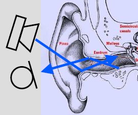 ear channel