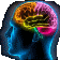 Brain EEG