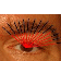 Eye periocular