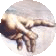 Finger 