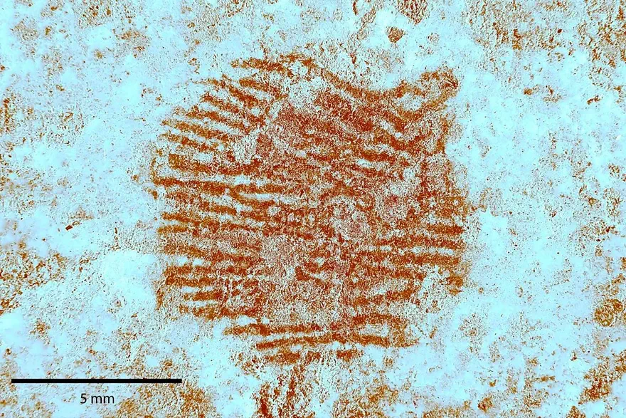 latent fingerprint