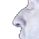 Nose