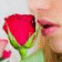 odour